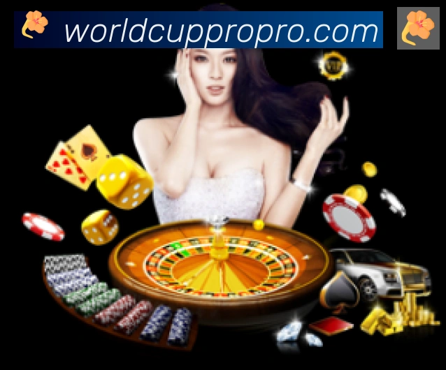 2026世界杯数据官方网站服务体系